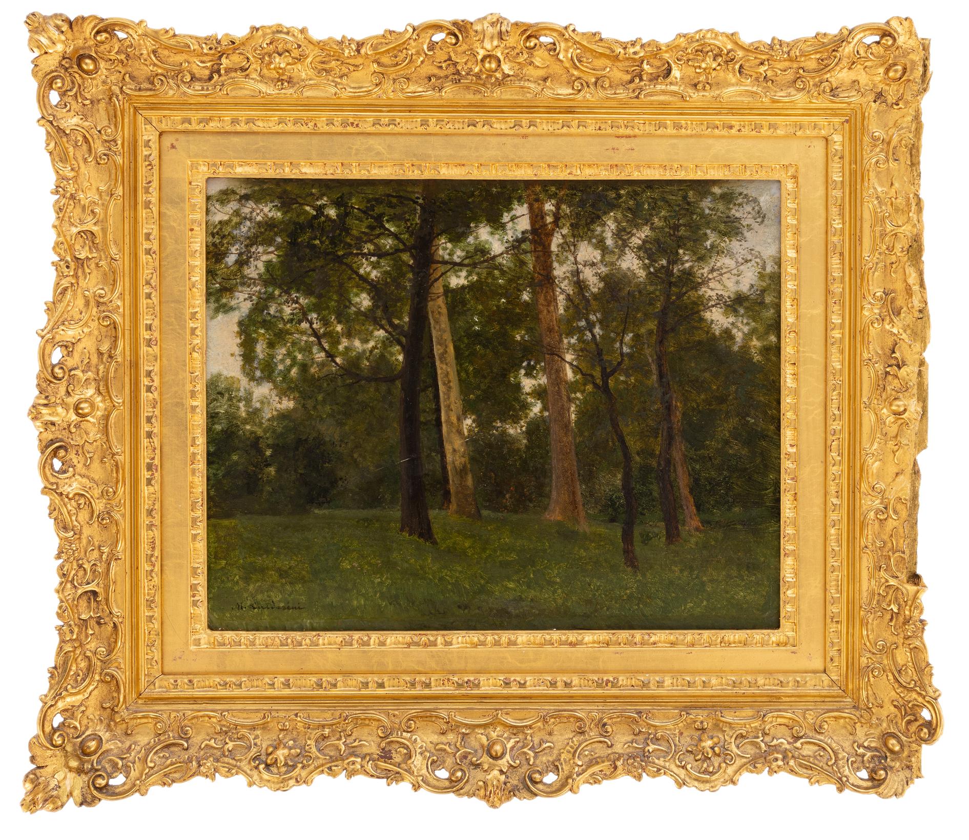 marco calderini: Sottobosco