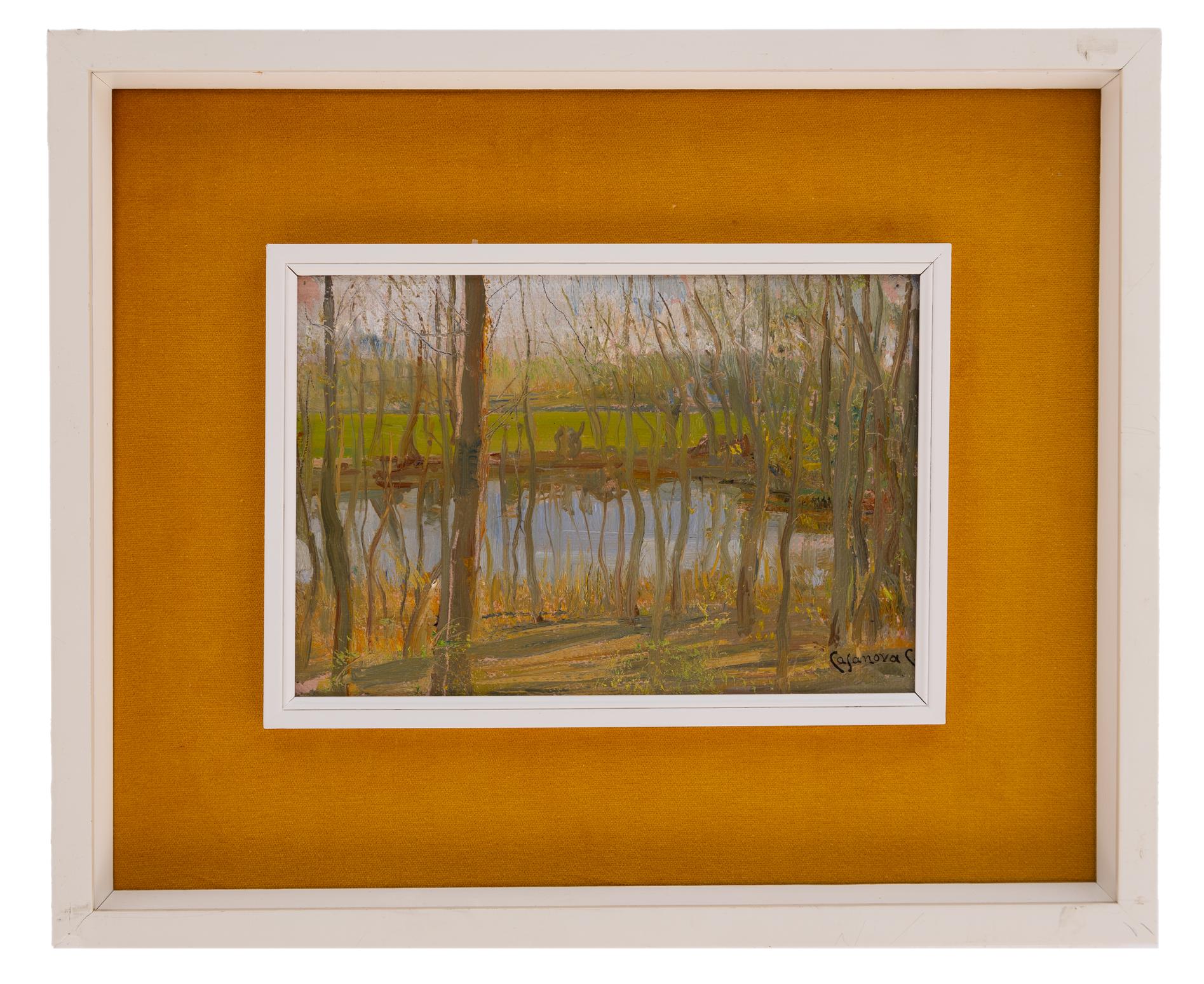 carlo casanova: Lo stagno