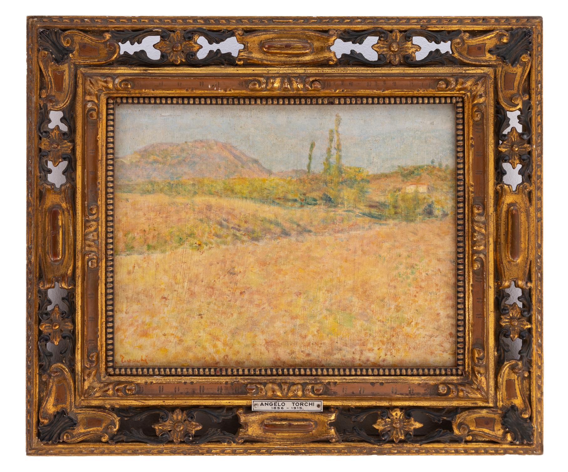 angelo torchi: Pomeriggio di sole