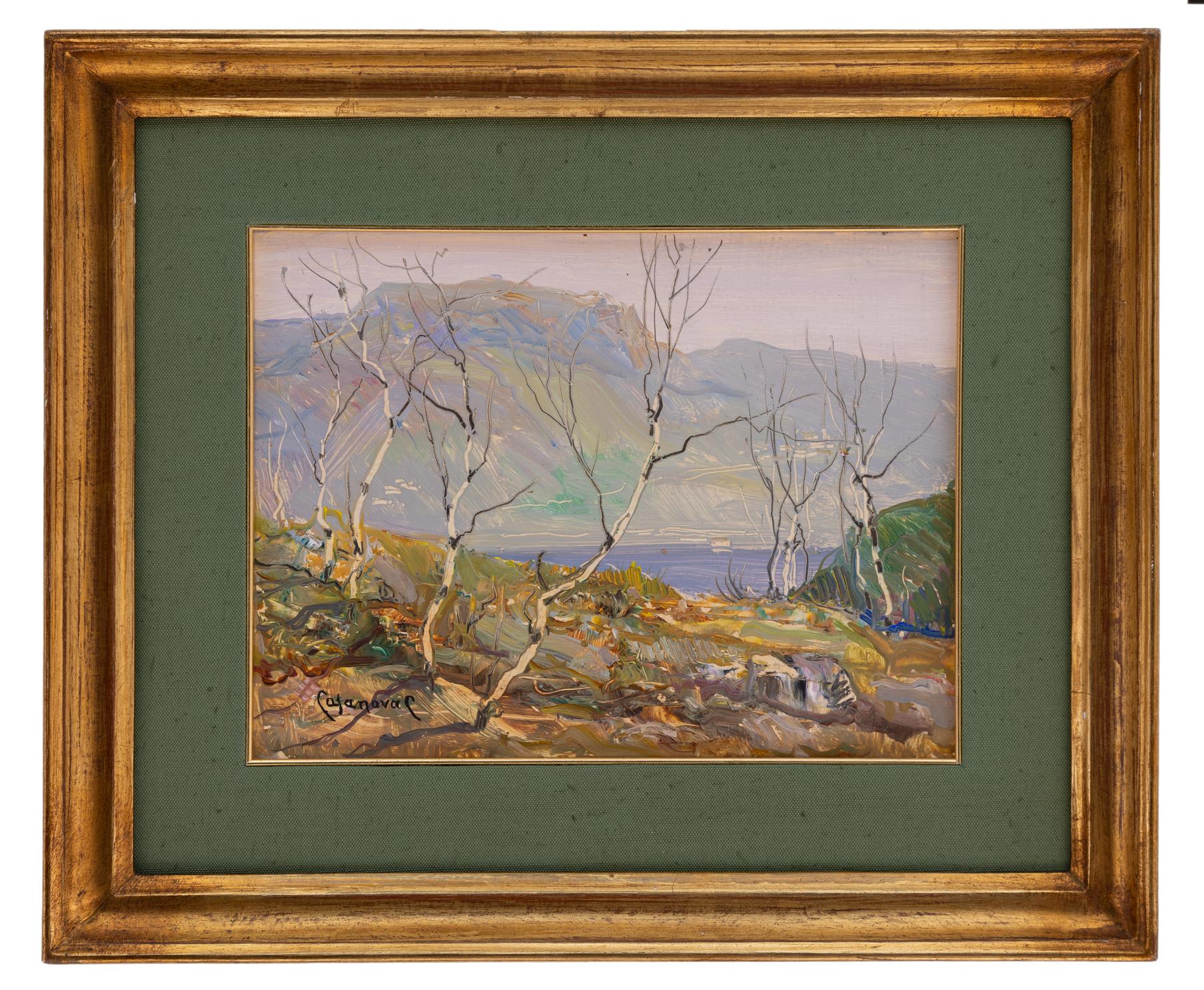 carlo casanova: Belvedere Lago d'Omegna