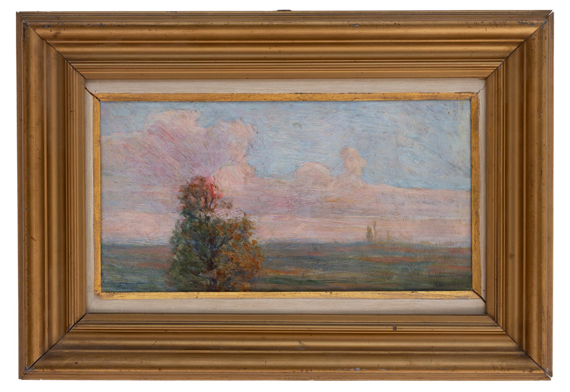 guido zuccaro: Cirri purpurei