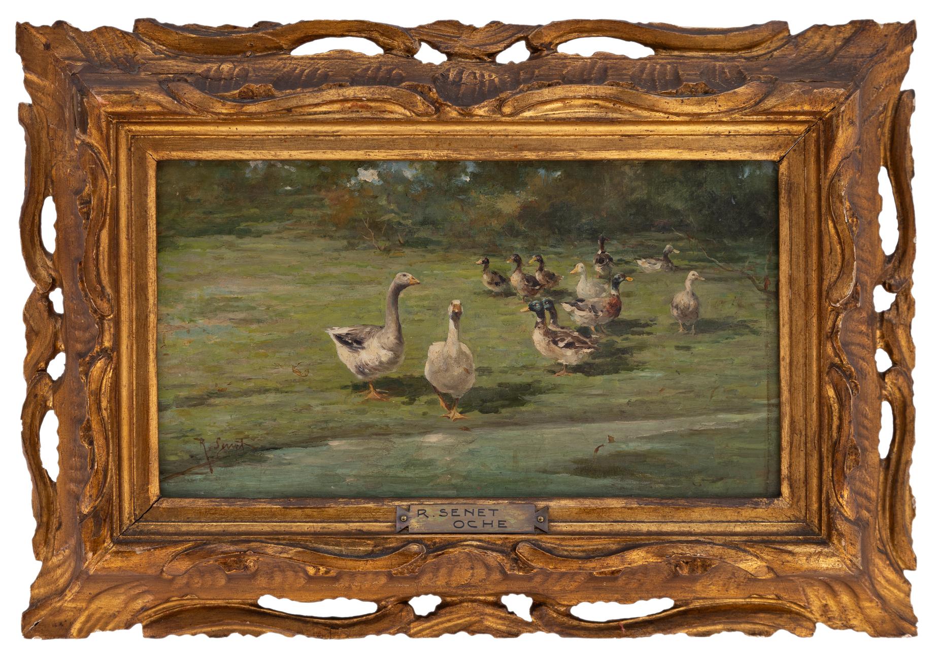 rafael senet: Le oche