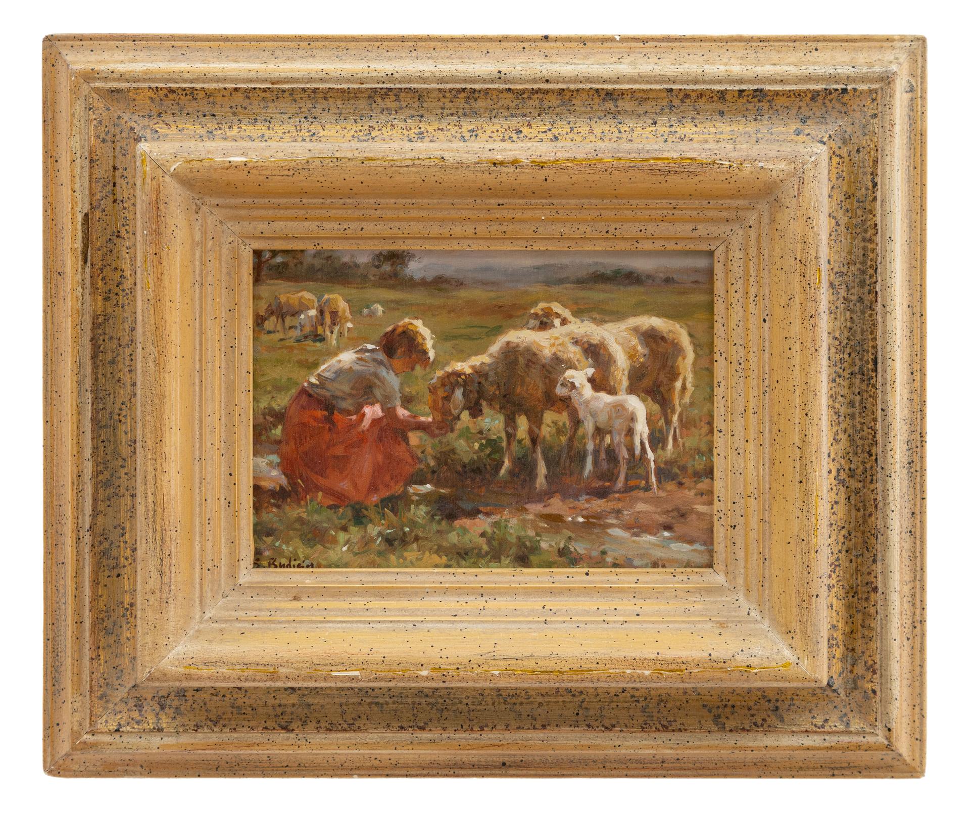 sergio budicin: Tra le pecorelle