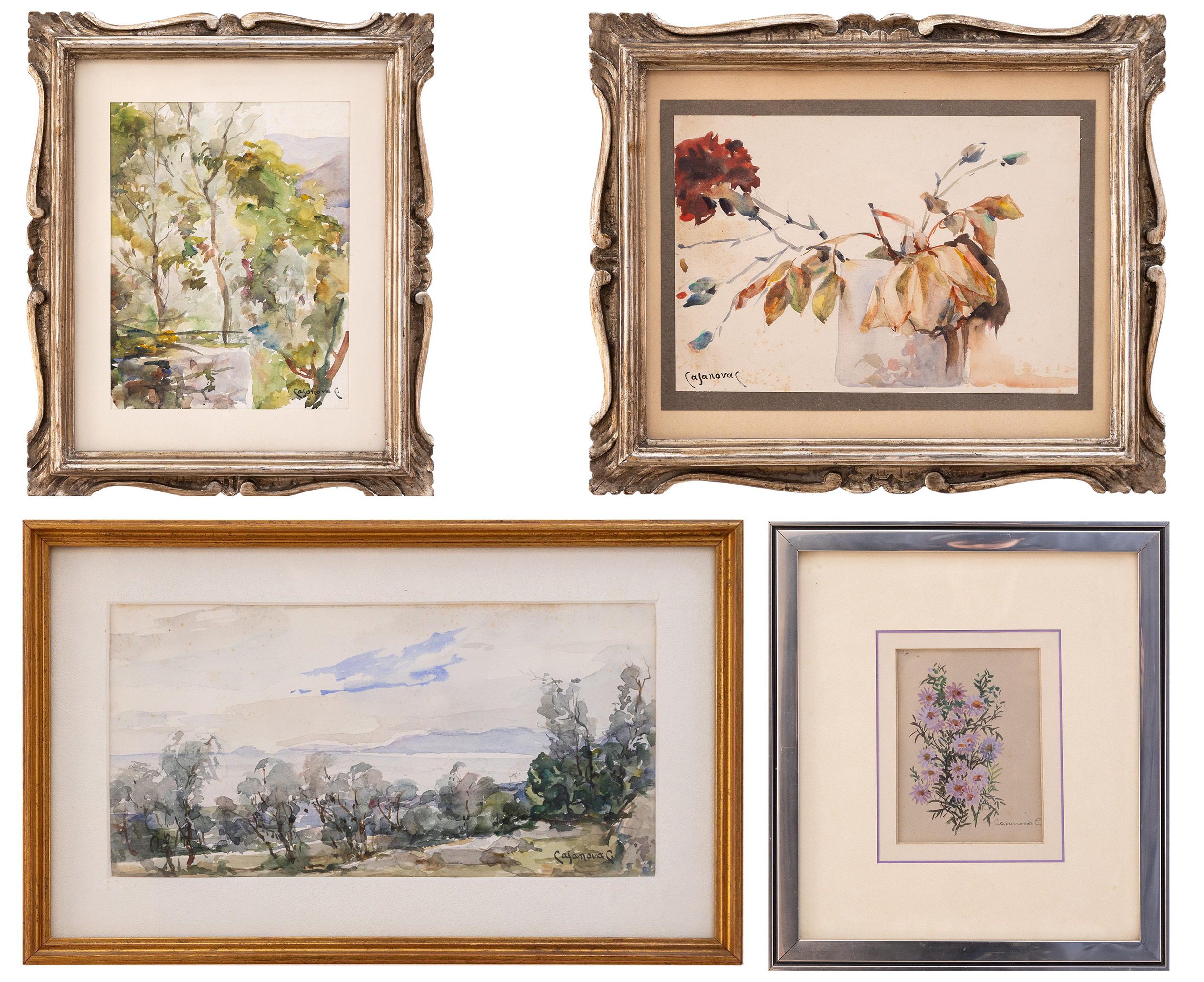 carlo casanova: Raccolta di acquarelli 