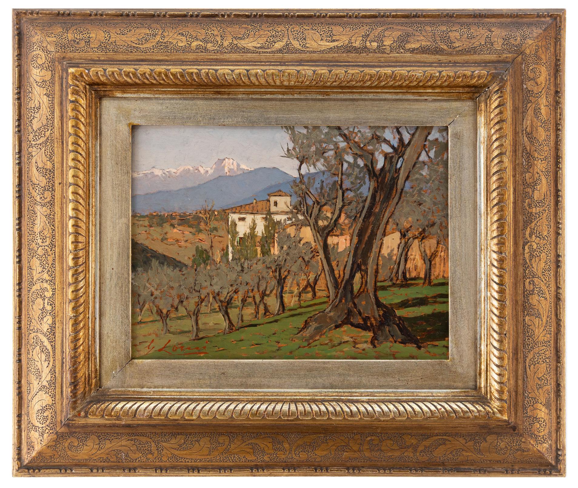 giovanni lomi: Tra gli ulivi 