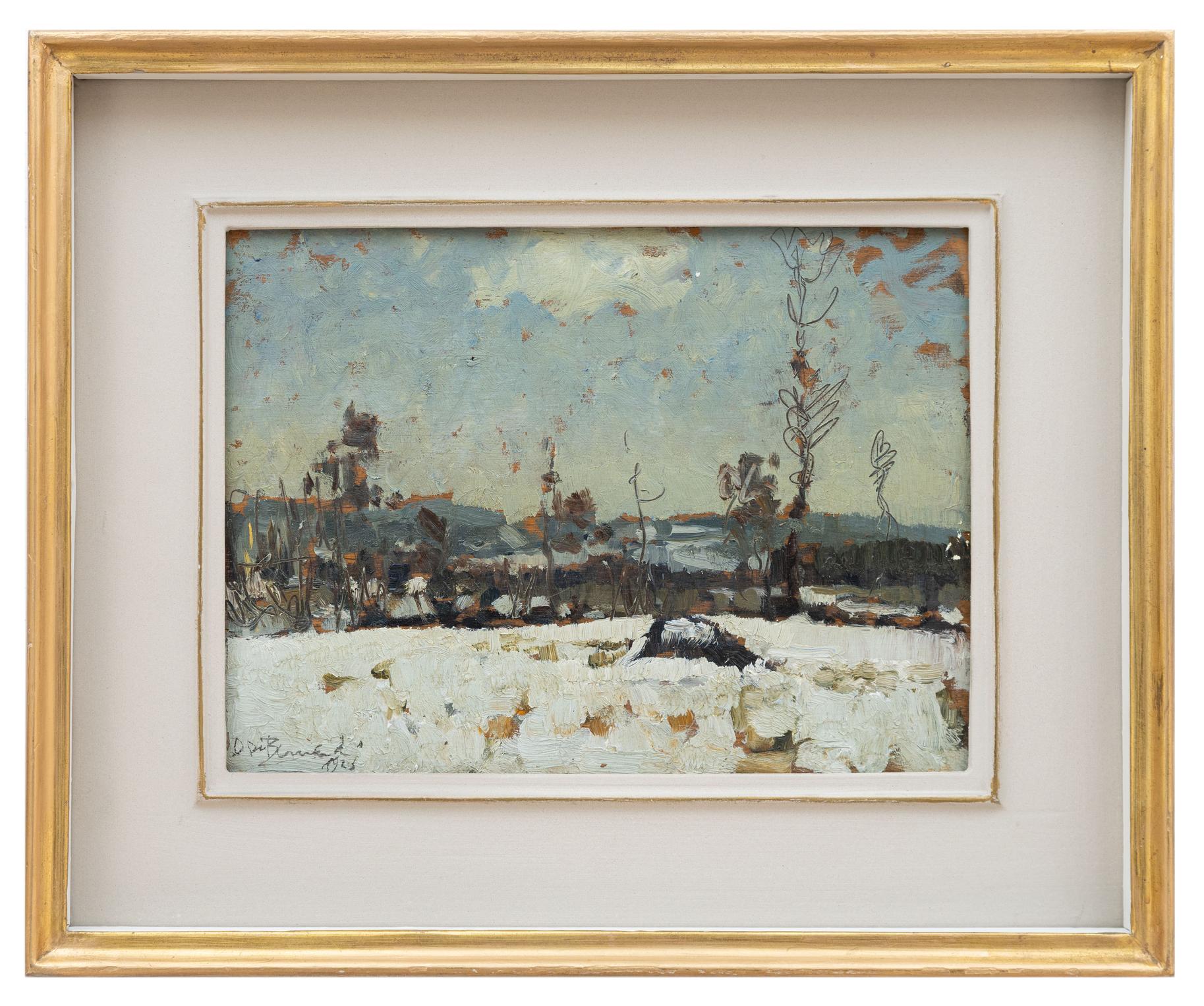 domenico de bernardi: Nevicata
