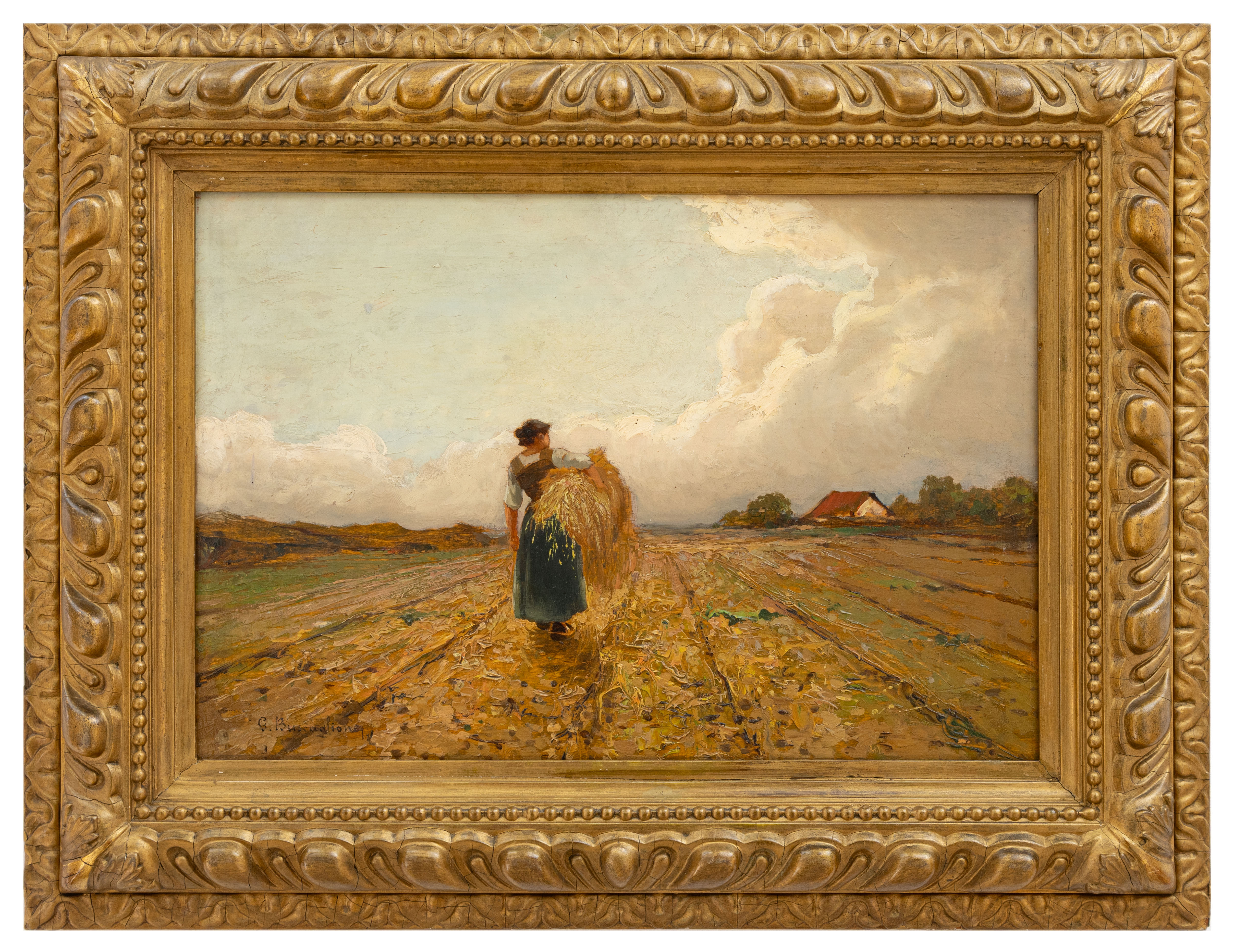 giuseppe buscaglione: La vita dei campi